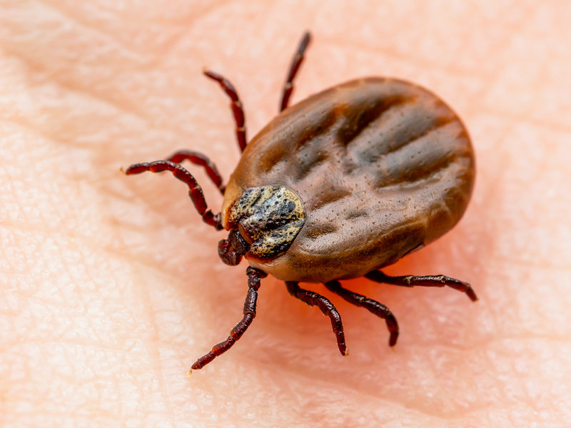 月经量少性冷淡 月经量少性冷淡吃什么药最好 月经量少性冷淡 月经量少性冷淡吃什么药最好