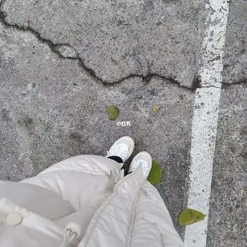 伊能静老公爬山什么意思 伊能静老公爬山什么意思