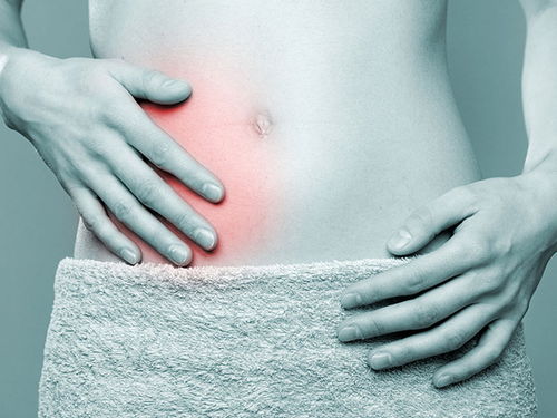 月经期间能吃甲鱼吗 月经期间能吃甲鱼肉吗 月经期间能吃甲鱼吗 月经期间能吃甲鱼肉吗