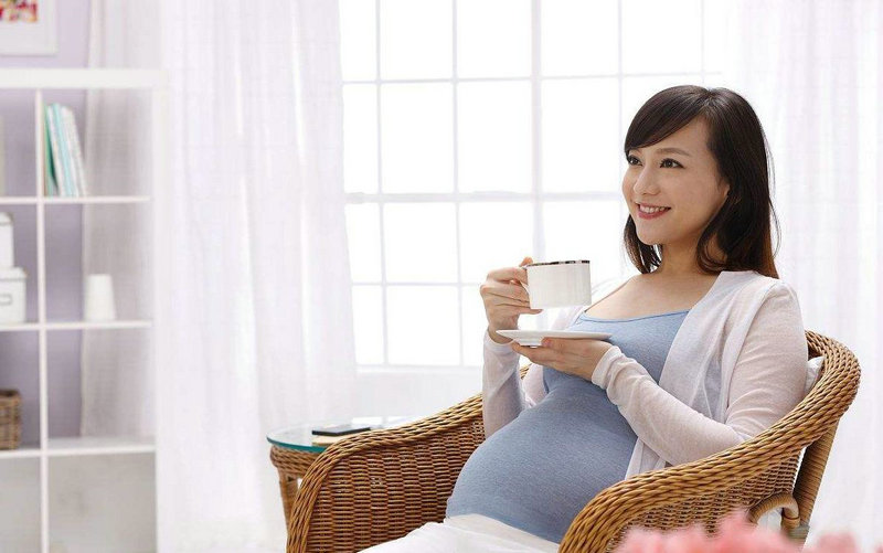 543只羊被躲猫猫 江苏养殖户在贵州投资养羊损失近百万 543只羊被躲猫猫 江苏养殖户在贵州投资养羊损失近百万