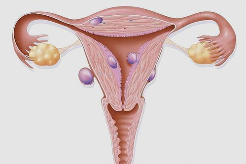 À´Ô¾ÀÛÀ§ À´ÒÌÂè¸Ð¾õÀÛ À§ À´Ô¾ÀÛÀ§ À´ÒÌÂè¸Ð¾õÀÛ À§