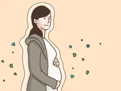 王雷李小萌几个宝宝;王雷李小萌宝宝照片 王雷李小萌几个宝宝;王雷李小萌宝宝照片