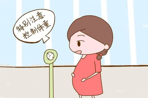 �������������2024