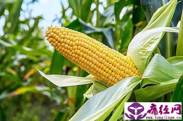 运动后姨妈不痛经_运动后姨妈不痛经怎么办 运动后姨妈不痛经_运动后姨妈不痛经怎么办