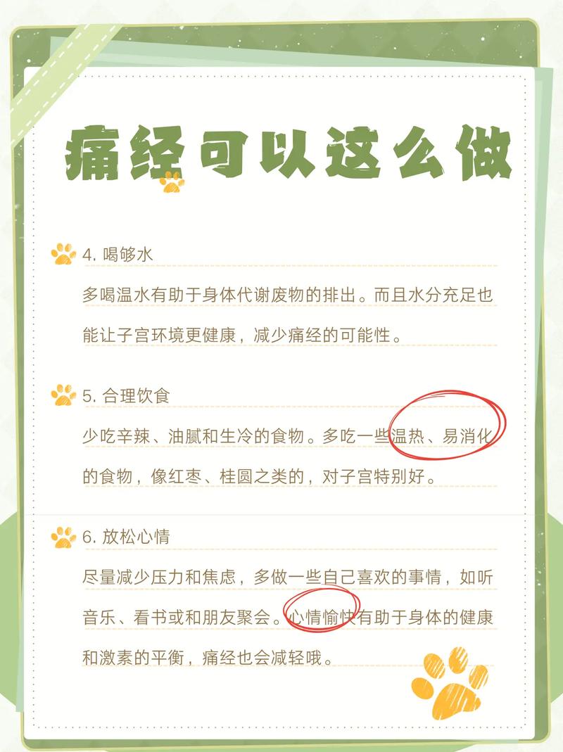 中国相机品牌(中国相机品牌排行榜) 中国相机品牌(中国相机品牌排行榜)