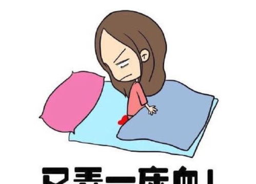 十堰沈涛个人资料 周涛 十堰 十堰沈涛个人资料 周涛 十堰