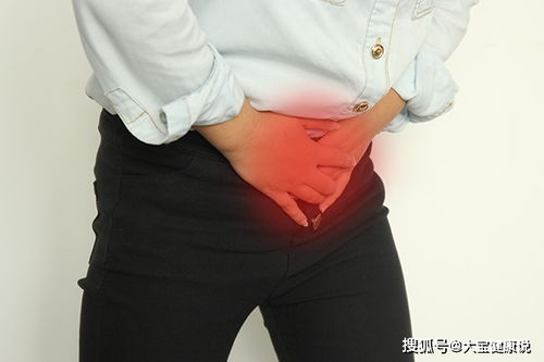 �����۸�ͷ �����۸�ͷС�ͻ�