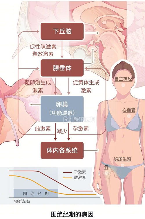 月经来割痣经期切痣会有什么危险 月经来割痣经期切痣会有什么危险