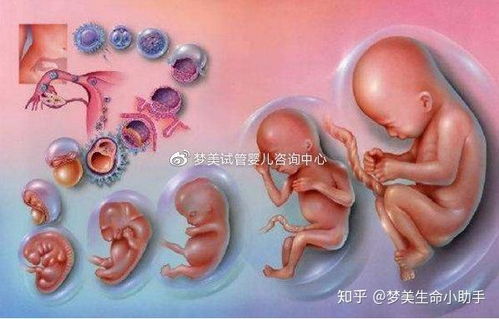 月经过后胸胀痛 月经过后胸胀痛正常吗 月经过后胸胀痛 月经过后胸胀痛正常吗