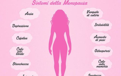 �����¾�����_�����¾�����������������