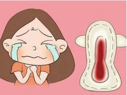 吃黑豆为什么月经推迟 吃黑豆为什么月经推迟