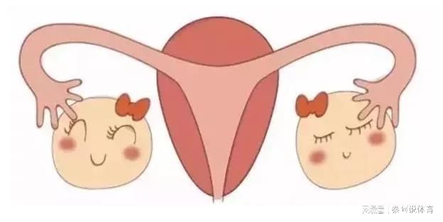 别让错误吃法毁了你的胸 木瓜应该这么吃 别让错误吃法毁了你的胸 木瓜应该这么吃