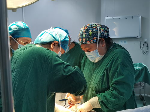 田壮壮个人资料年龄简介 田壮壮个人资料年龄简介