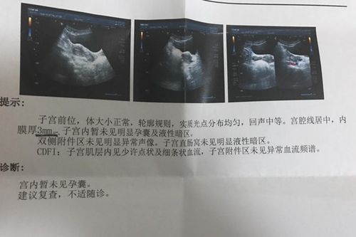 文章是哪年出生的 文章年龄是哪年的 文章是哪年出生的 文章年龄是哪年的