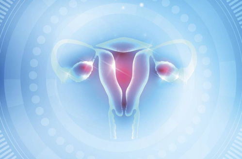 Сĸ¹·¶à´ó¿ªÊ¼À´Ô¾ Сĸ¹·¶à´ó¿ªÊ¼À´Ô¾