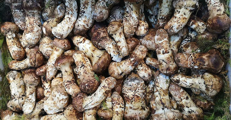 痛经在生活中要注意哪些问题 痛经在生活中要注意哪些问题