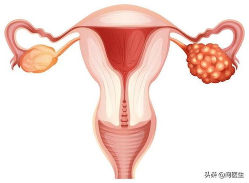 ��ҵ������������ ��ҵ�����������۲�ѯ