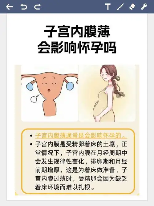 夫妻知识 夫妻知识手册的正规标准版本 夫妻知识 夫妻知识手册的正规标准版本