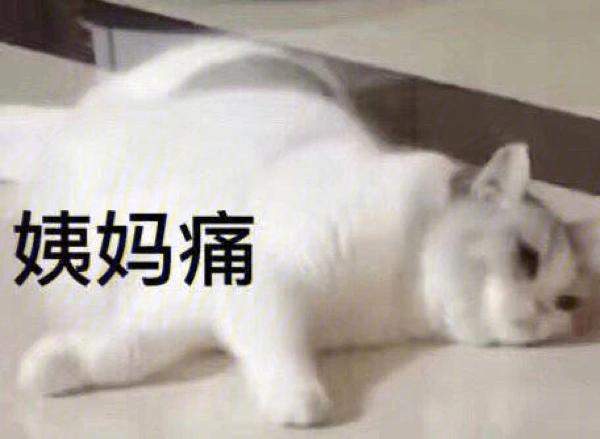 ��������ȥս�����_��������ȥս����ʸ���