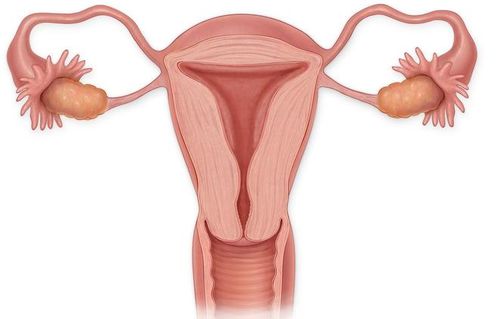 痛经可以吃 辈子止疼吗 痛经可以吃 辈子止疼吗