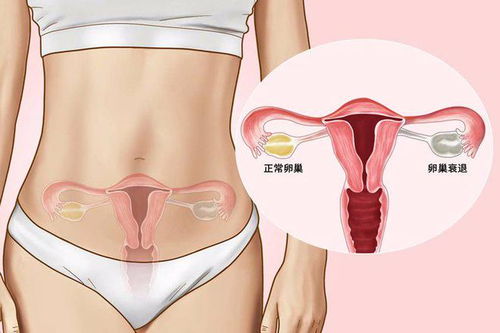 中午不睡下午崩溃?到底有没必要午睡? 中午不睡下午崩溃?到底有没必要午睡?