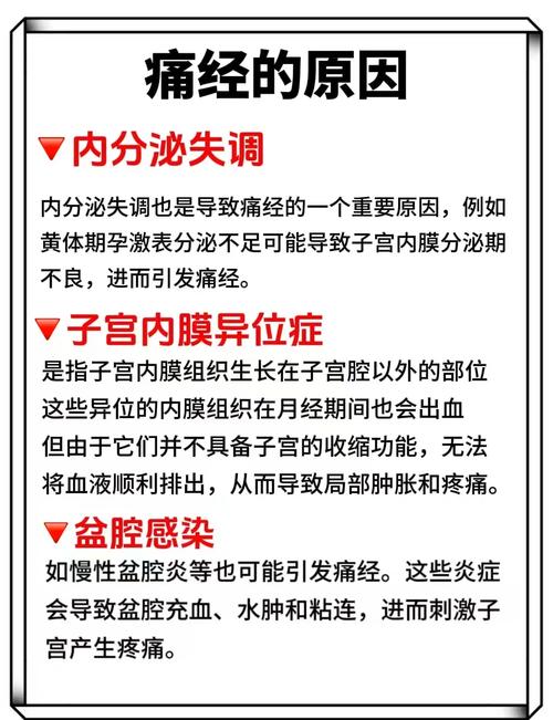 希林娜依高身高体重_希林娜依高个多高 希林娜依高身高体重_希林娜依高个多高