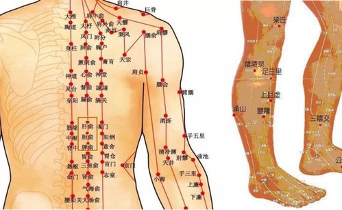 痛经能吃凉菜不 痛经能吃凉拌菜吗 痛经能吃凉菜不 痛经能吃凉拌菜吗