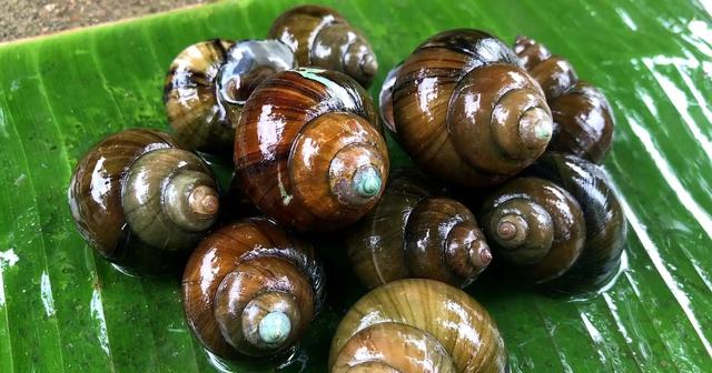 每个月痛经是正常吗_每个月痛经的原因 每个月痛经是正常吗_每个月痛经的原因