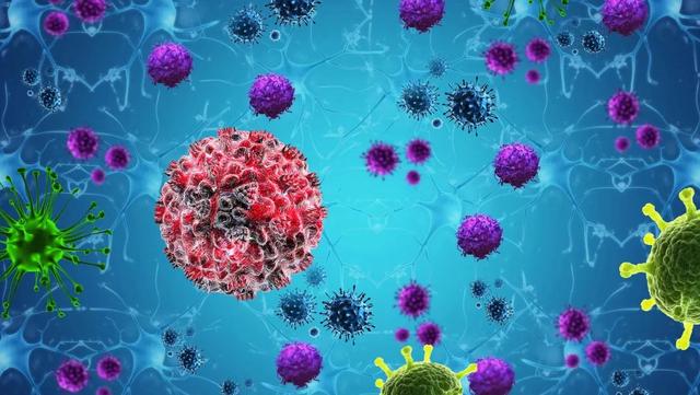 �¾�������������ʲôԭ��