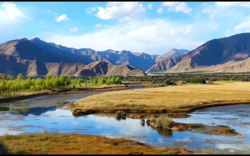 哪些检查能诊断出现了附件炎?附件炎有哪些症状? 哪些检查能诊断出现了附件炎?附件炎有哪些症状?