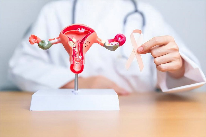 女性月经作用 女性月经起啥作用 女性月经作用 女性月经起啥作用