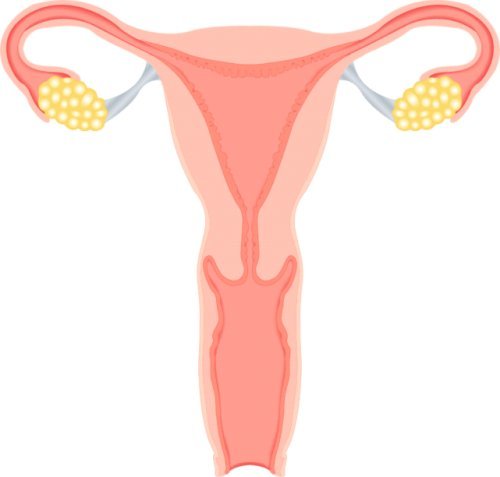 食用过多黄芪会出现什么症状- 食用过多黄芪会出现什么症状-