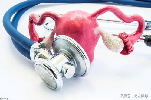 月经又称什么 月经又称什么? 月经又称什么 月经又称什么?