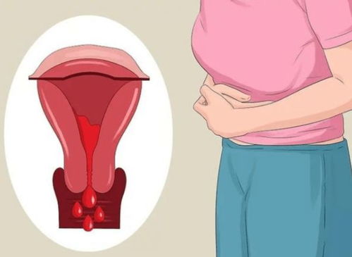 那英老公孟桐哪里人,那英老公孟桐图片 那英老公孟桐哪里人,那英老公孟桐图片