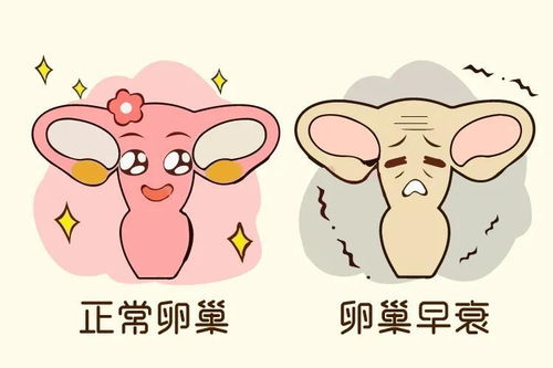 月经结束心慌 月经结束后心慌 月经结束心慌 月经结束后心慌