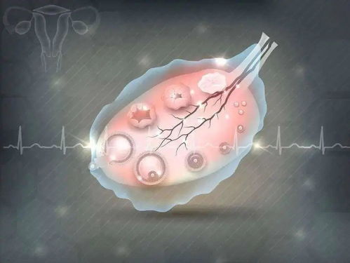 月经不来可以补脾吗_月经不来可以吃中药调理吗 月经不来可以补脾吗_月经不来可以吃中药调理吗