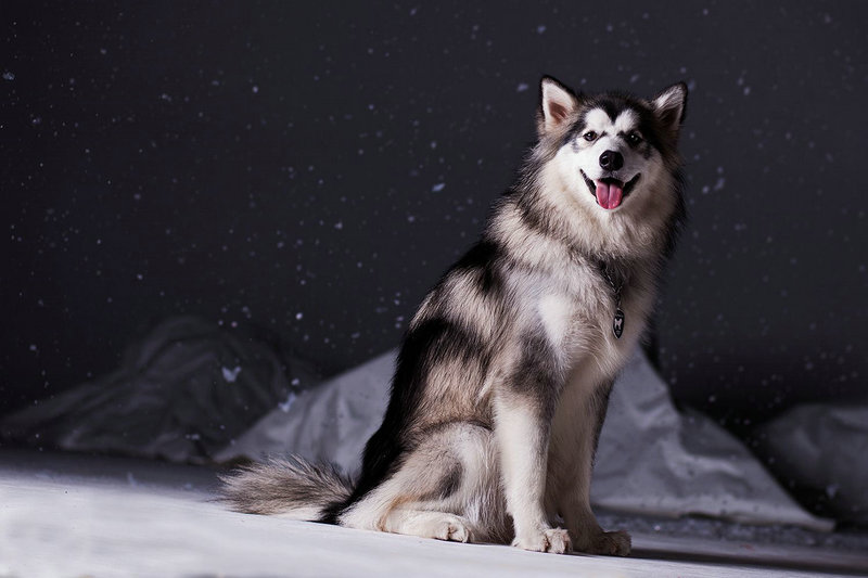 �¾�ǰ �ܱ�ů��ʹ����