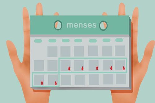 围棋陶昕然个人资料简介 围棋陶昕然个人资料简介