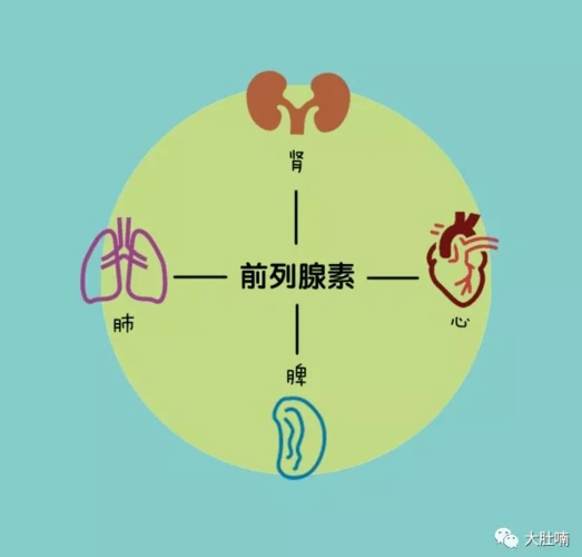 À´Ô¾ǰÀÏÊÇðþÑ÷À´Ô¾ǰ×ÜÊÇÑ÷Ôõô»ØÊ À´Ô¾ǰÀÏÊÇðþÑ÷À´Ô¾ǰ×ÜÊÇÑ÷Ôõô»ØÊÂ