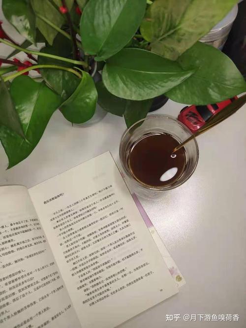 2025年东京奥运会 2025年东京奥运会