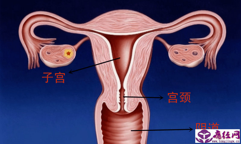 月经来了长痘痘怎么办 月经来了长痘痘怎么办