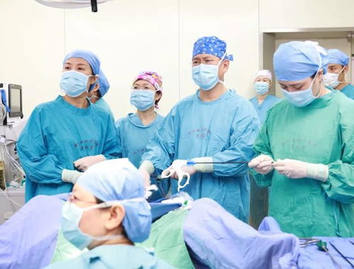 哈士奇母狗多大来月经 哈士奇母狗多大来月经