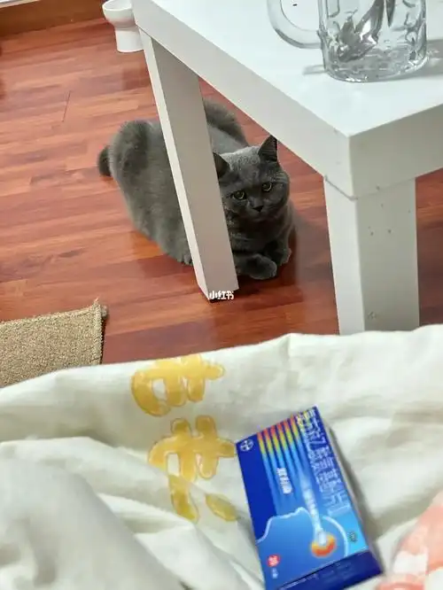 ¾ʹɫǳ_¾ʹɫǳʲôԭ