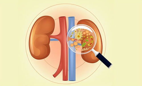 急性子宫内膜炎的症状与治疗方法 急性子宫内膜炎的症状与治疗方法