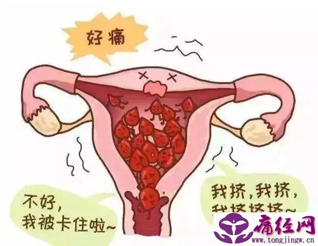 痛经喝雄黄酒 痛经能喝黄酒吗 痛经喝雄黄酒 痛经能喝黄酒吗