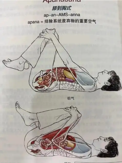 ¾ī ¾һֱɾɫھѪɫܵ