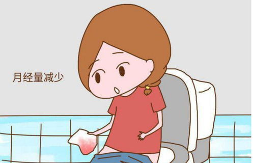 ·�滮�� ·�滮������Ϳ��