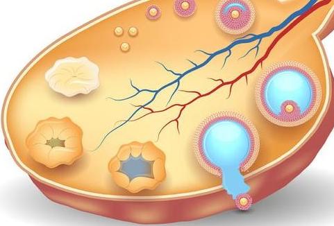 经期护理怎么做?中医教你经期护理小妙招 经期护理怎么做?中医教你经期护理小妙招