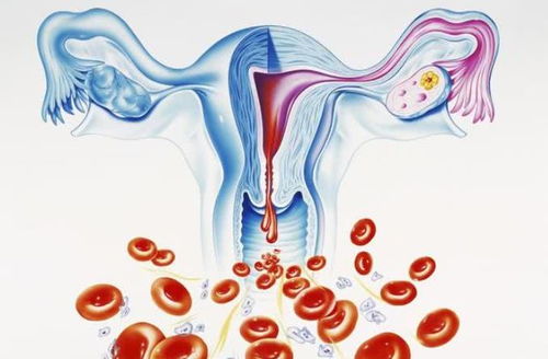 来月经早孕试纸阳性 例假期试纸阳性 来月经早孕试纸阳性 例假期试纸阳性