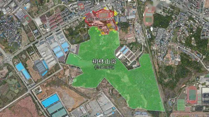 20¶àËêÈ´ÓÐ40¶àËêµÄÂѳ²£¿³öÏÖÕâ4ÖÖÇé¿öÒª¾¯ÌèÂѳ²ÔçË¥ 20¶àËêÈ´ÓÐ40¶àËêµÄÂѳ²£¿³öÏÖÕâ4ÖÖÇé¿öÒª¾¯ÌèÂѳ²ÔçË¥